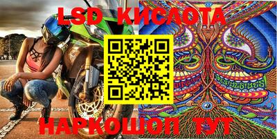 тгк Новозыбков