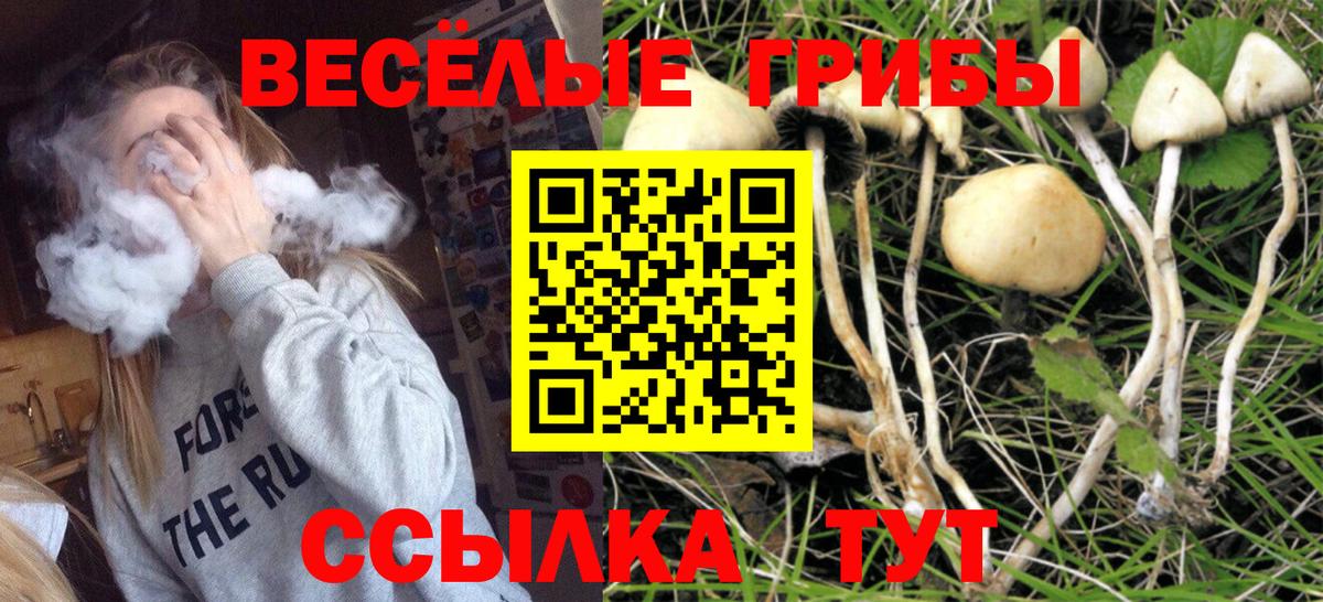 Великие Луки  Галлюциногенные грибы прущие грибы  купить   Вход с VPN  Псилоцибиновые грибы MAGIC MUSHROOMS 