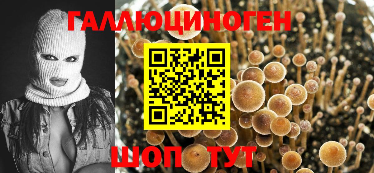 Галлюциногенные грибы Cubensis Великие Луки